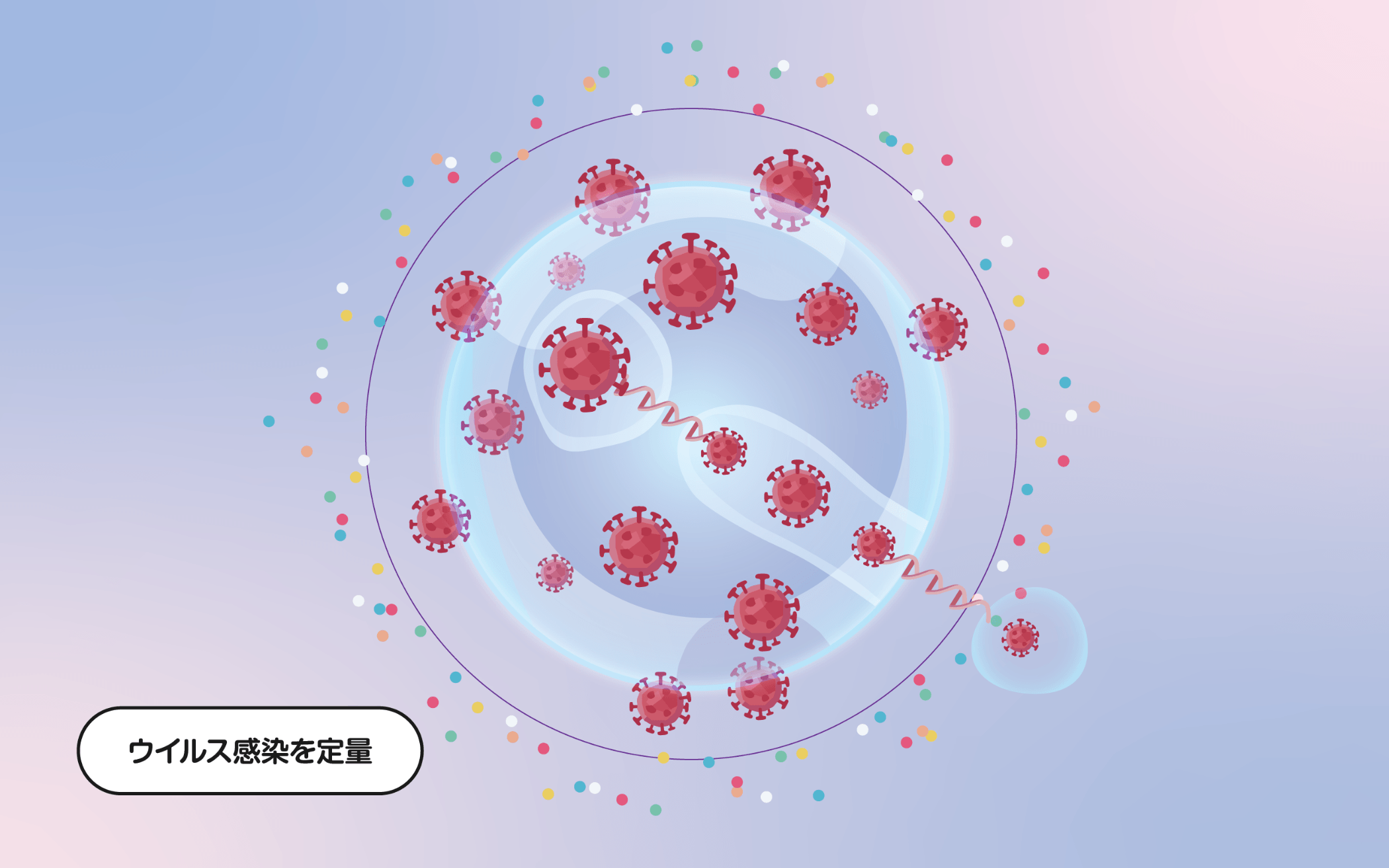 ウイルス感染を定量