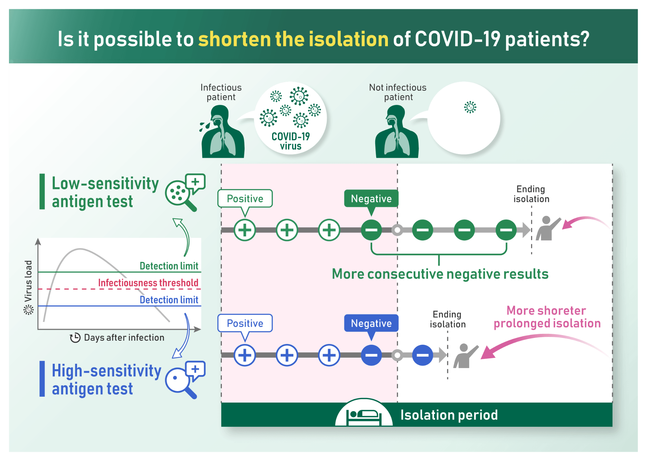 High-sensitivity antigen tests capable of detecting low viral loads may reduce unnecessary isolation periods. In contrast, lower-sensitivity antigen tests require additional consecutive negative results before isolation can safely end.