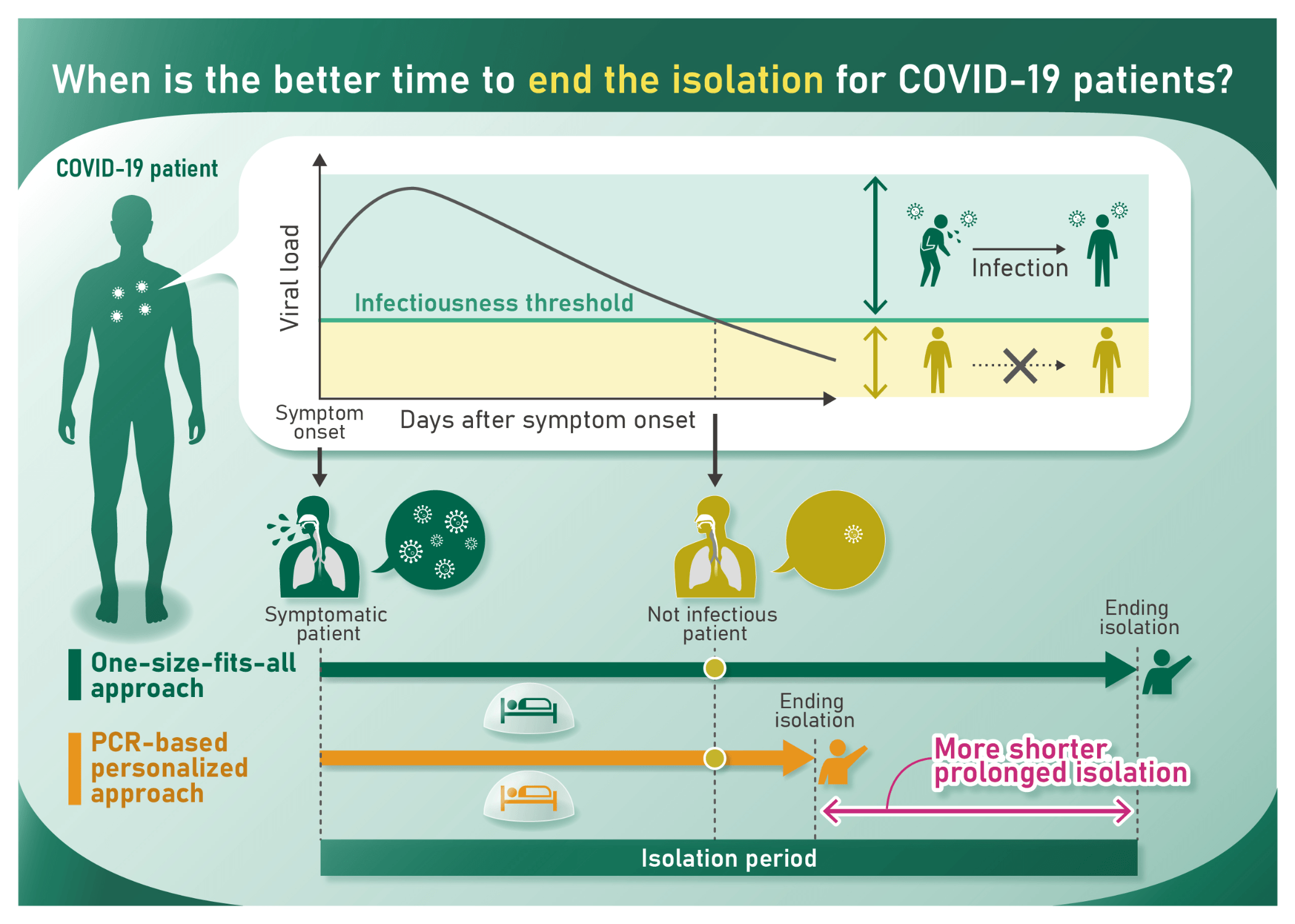 Comparison of fixed-duration isolation (uniform isolation period) and PCR-based isolation (individualized according to patient viral load): PCR-based strategies may reduce unnecessary isolation periods.