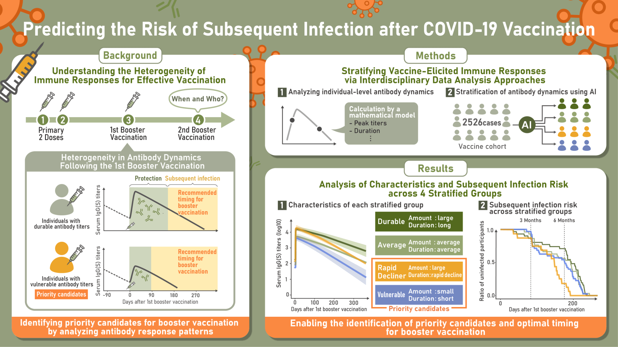 Identifying priority recipients through analysis of antibody dynamics is important for effective COVID-19 vaccination. Mathematical and computational analyses of vaccine-induced immune responses enabled stratification into four groups with distinct characteristics and breakthrough infection risks. These findings may help identify individuals who should receive continued vaccination and determine optimal vaccination timing.