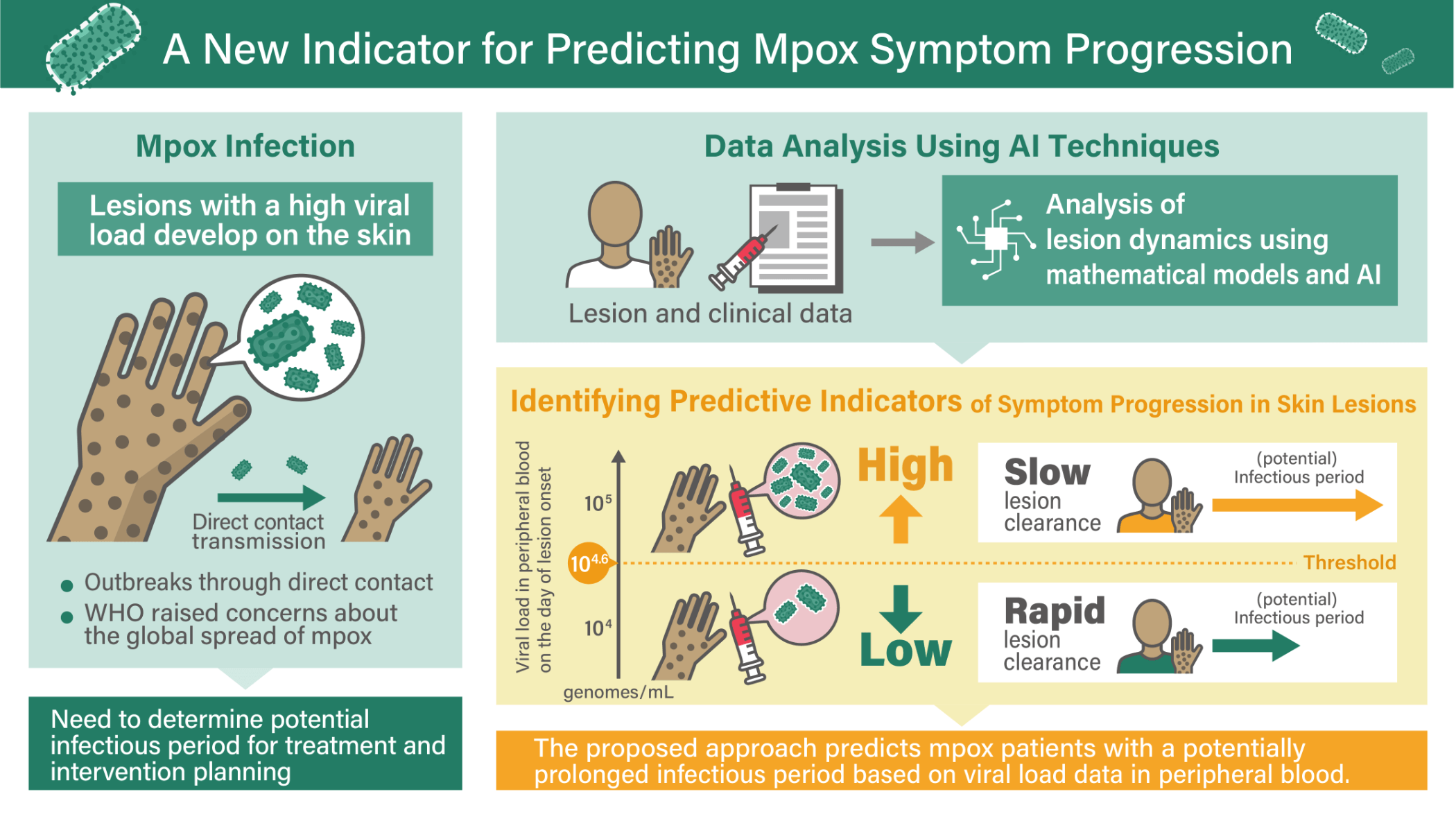 Understanding the infectious period is essential for treatment planning and intervention during mpox infection. By combining mathematical modeling and AI-based analysis of skin lesion dynamics, the study demonstrated that periods of high transmission risk can be predicted from blood viral load measured at lesion onset.